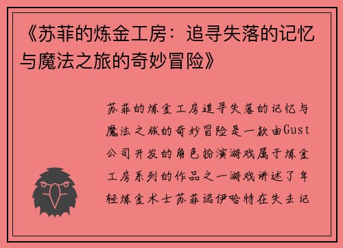 《苏菲的炼金工房：追寻失落的记忆与魔法之旅的奇妙冒险》