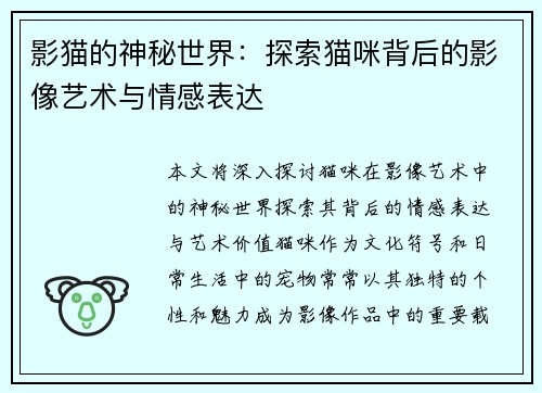影猫的神秘世界：探索猫咪背后的影像艺术与情感表达