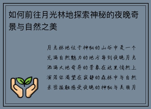 如何前往月光林地探索神秘的夜晚奇景与自然之美